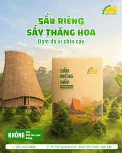 sầu riêng sấy thăng hoa